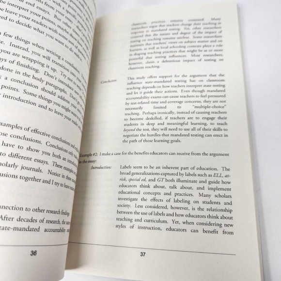 A Professor's Guide to Writing Essays : The No-Nonsense Plan for Better Writing - Picture 10 of 11